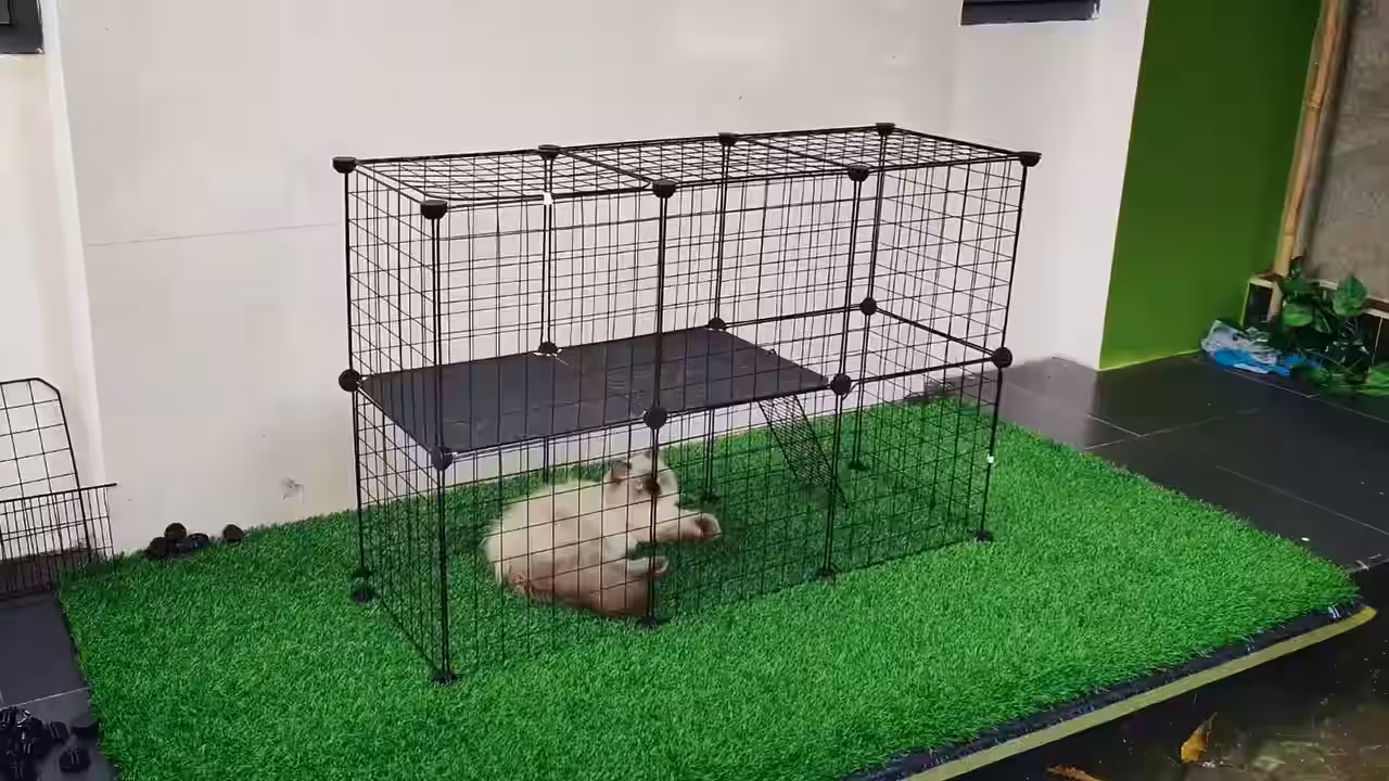 Kandang Kucing Ukuran Besar